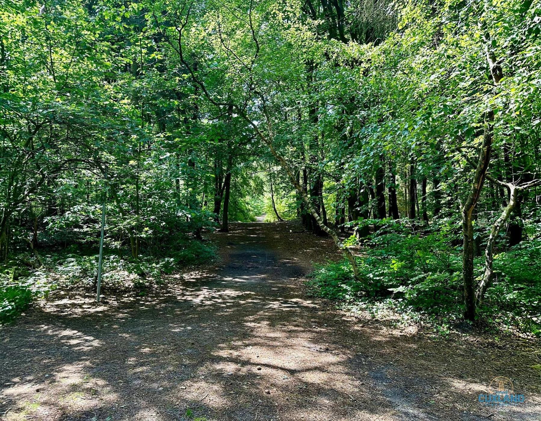 Апартаменти Auszeit Am Wernerwald Im Haus Frauenpreiss Куксгафен Екстер'єр фото